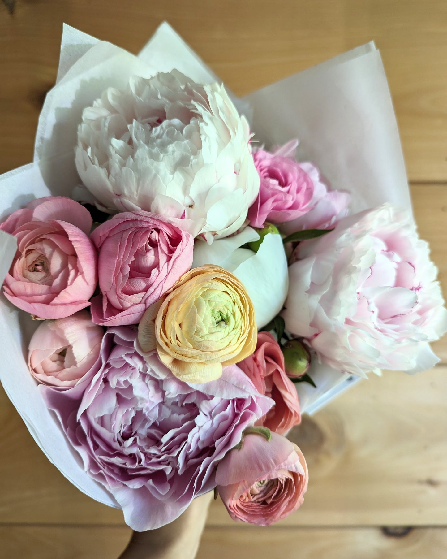 Ranunculus La Belle White Picotee