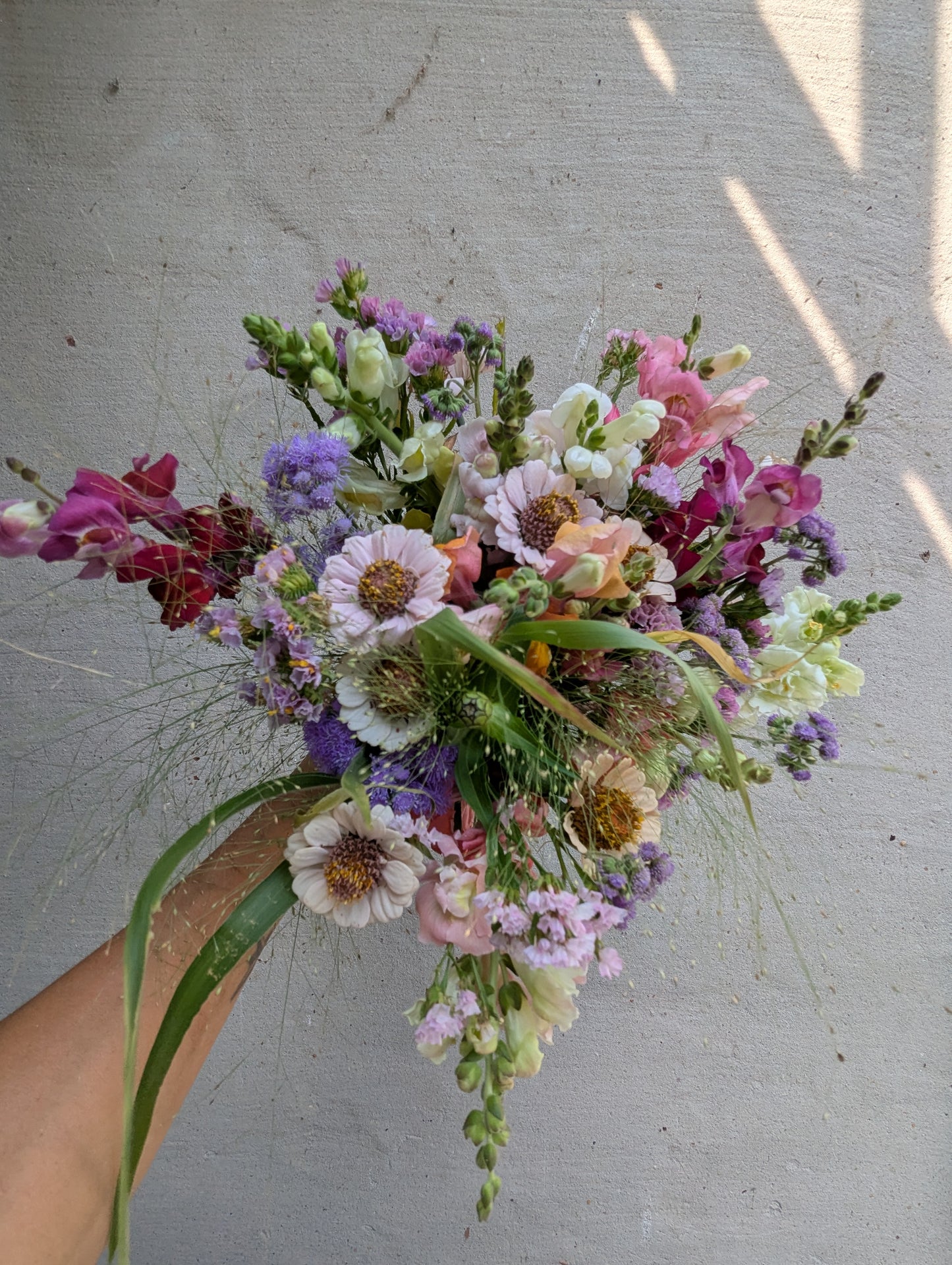 Grow-Your-Own Summer Annuals Kit